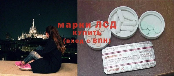 ECSTASY Алзамай